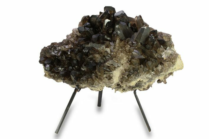 Dark Smoky Quartz Crystal Cluster - Brazil #293628